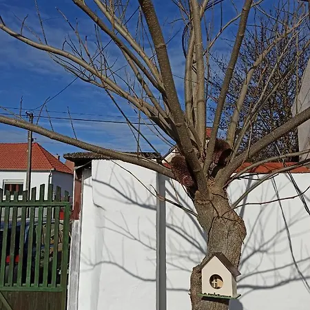 Fuszeres Porta Tatil Evi *