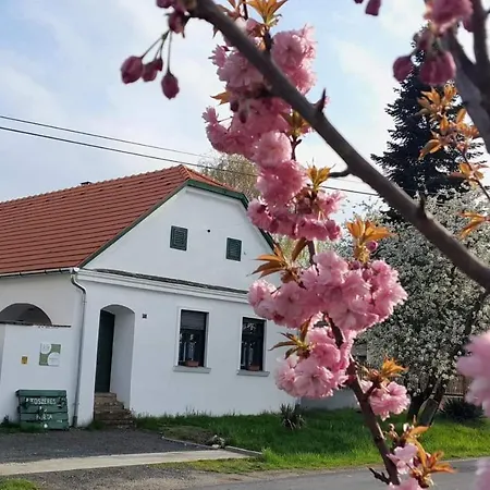 Fuszeres Porta Tatil Evi *