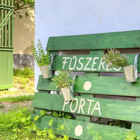 Fuszeres Porta 度假居 Mihalyfa