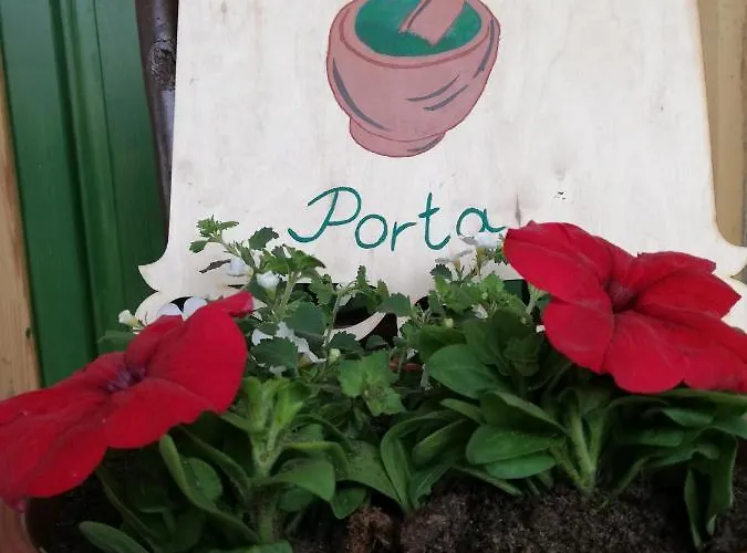 Fuszeres Porta * Mihalyfa